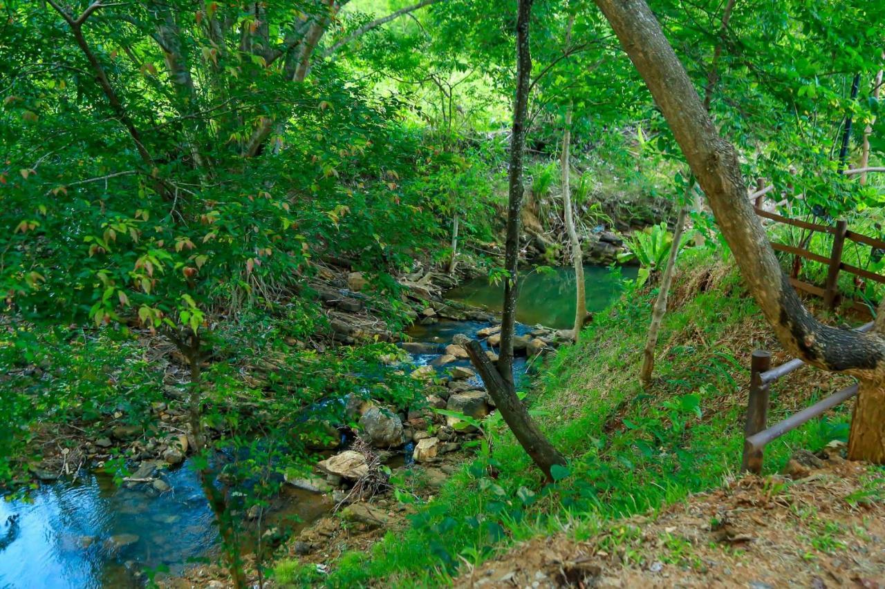 Doola River Edge Udawalawe Eksteriør bilde